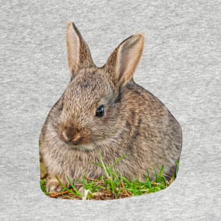 Cute Baby Wild Rabbit T-Shirt